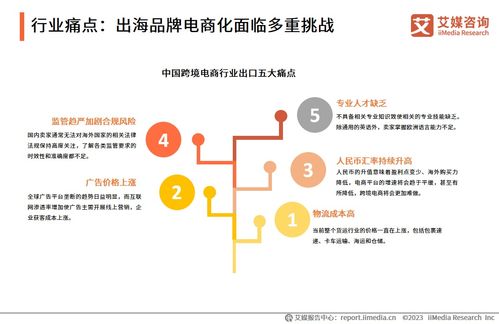2023年中国品牌电商服务行业深度洞察 信息咨询服务赋能品牌新增长